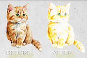 Photo Effect, a Layer Style Add-On by CreativeShaper (Thumbnail 2 of 2)