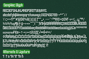Sengklec - Display Family Font, a Serif Font by Differentialtype (Thumbnail 12 of 12)