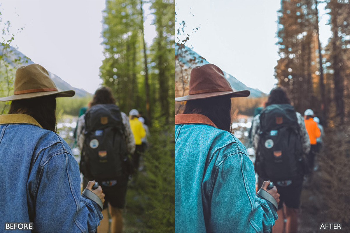 Landscape Nature Lightroom Presets, a Preset Add-On by AAA Presets (Photo 18 of 22)