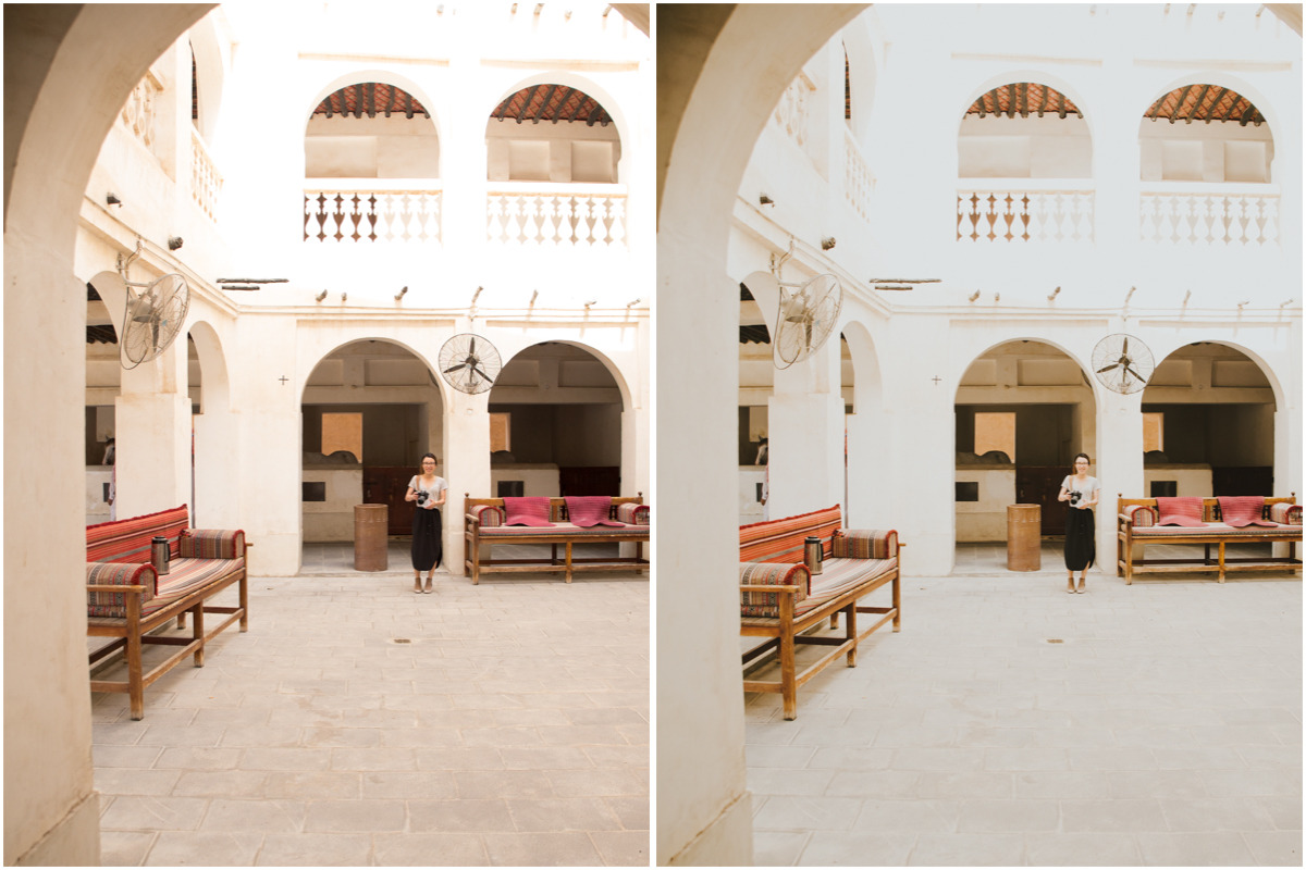 Adventure Series: Safari LR Preset preview 8