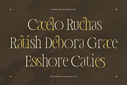 The Choirs - Beauty Elegant Ligature, a Serif Font by Typia Nesia (Thumbnail 6 of 16)