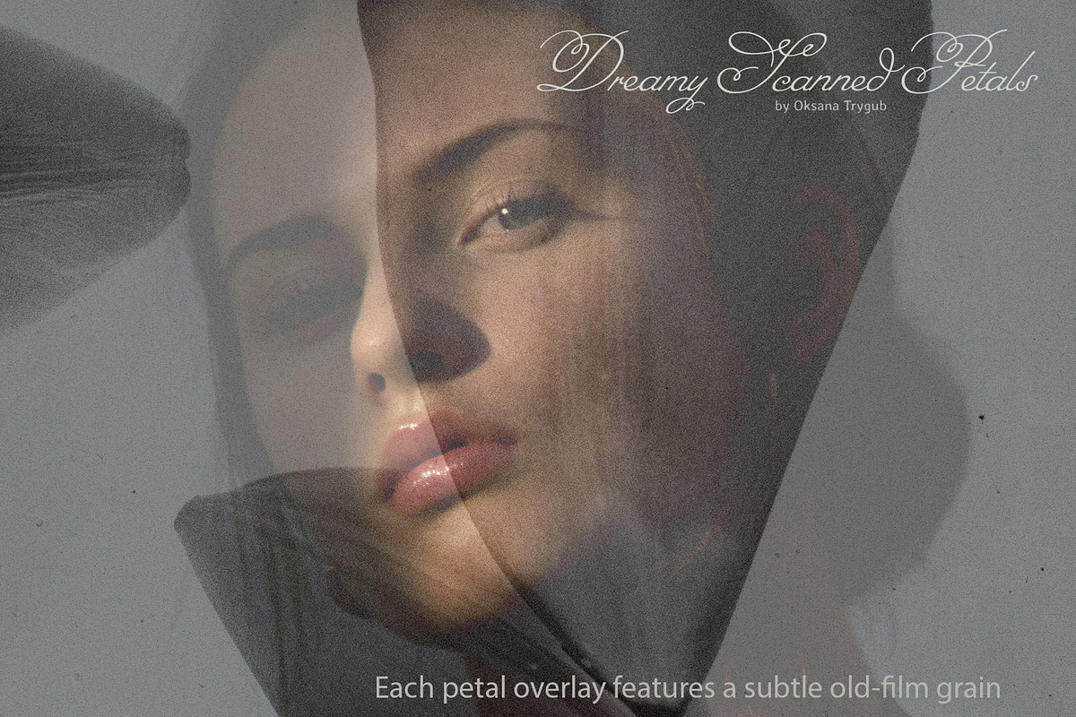 Flower Petal Textures & Foil Overlay, a Texture Graphic by Oksana Trygub (Photo 4 of 28)