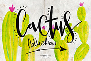 Cactus Collection, an Illustration by by Aline Albino (Thumbnail 1 of 3)