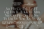 Splendor Escape - Elegant Serif, a Serif Font by Shakira Studio (Thumbnail 12 of 12)