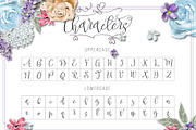 Pertiwi, a Script Font by Fontdation (Thumbnail 2 of 4)