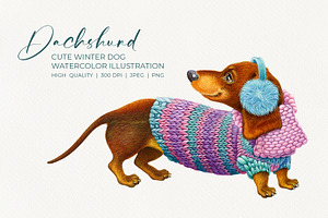 Dachshund Cute Winter Dog, an Animal Illustration by YarovaArt