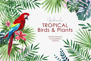 Watercolor Tropical Birds & Plants