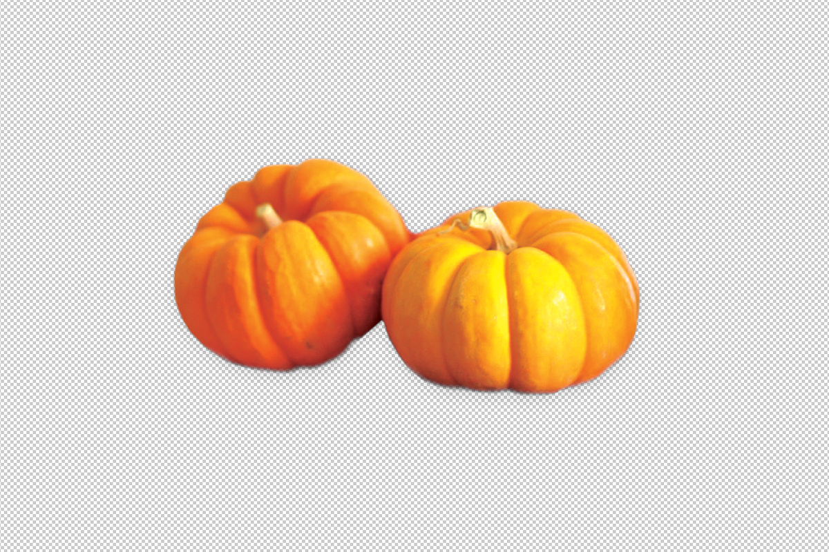 2 Pumpkins, side-view, a Food & Drink Photo by Professional Assets (Photo 1 of 3)