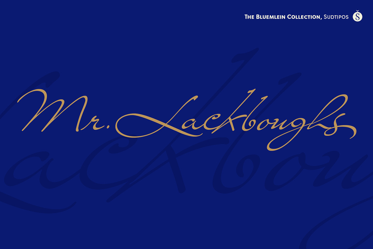 Mr Lackboughs Pro