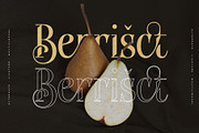 Sabiant – Luxury Ligature Serif Font, a Serif Font by Krismagraph (Thumbnail 3 of 12)