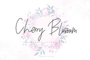 Wonderfull Font Collection, a Script Font by Chocotype Std (Thumbnail 18 of 51)