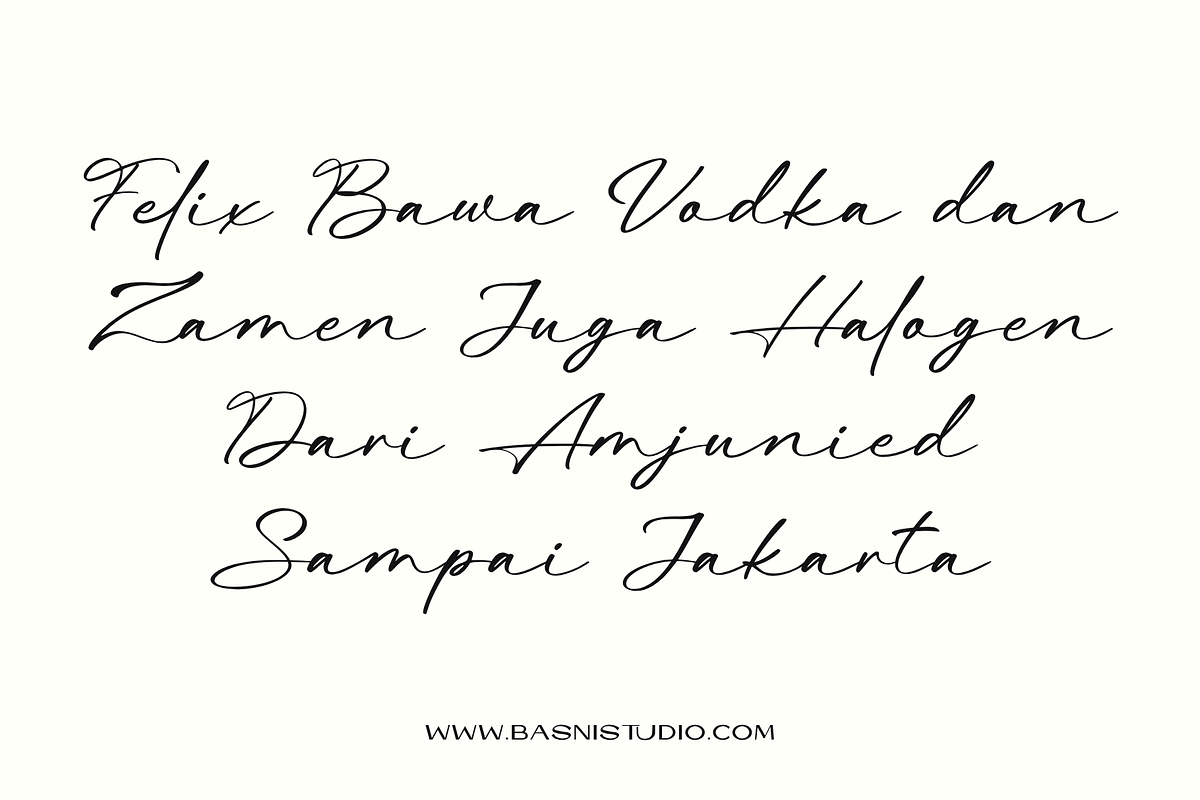Beatina – Signature Font, a Script Font by Basnistudio (Photo 4 of 11)