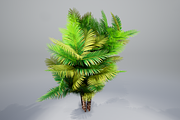 Pinanga coronata, an Environmental 3D Model by AndrewWhite (Thumbnail 9 of 25)