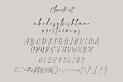 Prishton Sign a Handwriting Font, a Handwritten Font by Burhan Afif (Thumbnail 8 of 10)