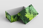 Tree Brushes - Willow Edition, a Brush Add-On by xresch (Thumbnail 5 of 27)