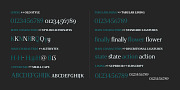 Gazeta, a Serif Font by Vanarchiv (Thumbnail 7 of 7)