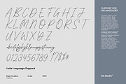 Brighter Paradise, a Serif Font by din-studio.com (Thumbnail 4 of 15)