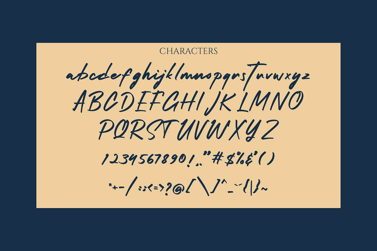 Northill - Signature Font, a Handwritten Font by TrimStudio (Photo 10 of 10)