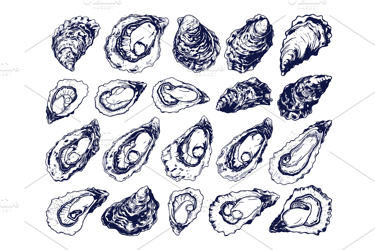Oysters Icon Set Vector Line Drawing, an Animal Illustration by LadadikArt