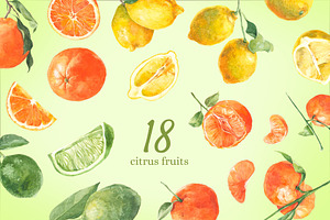 Citrus Watercolor Collection