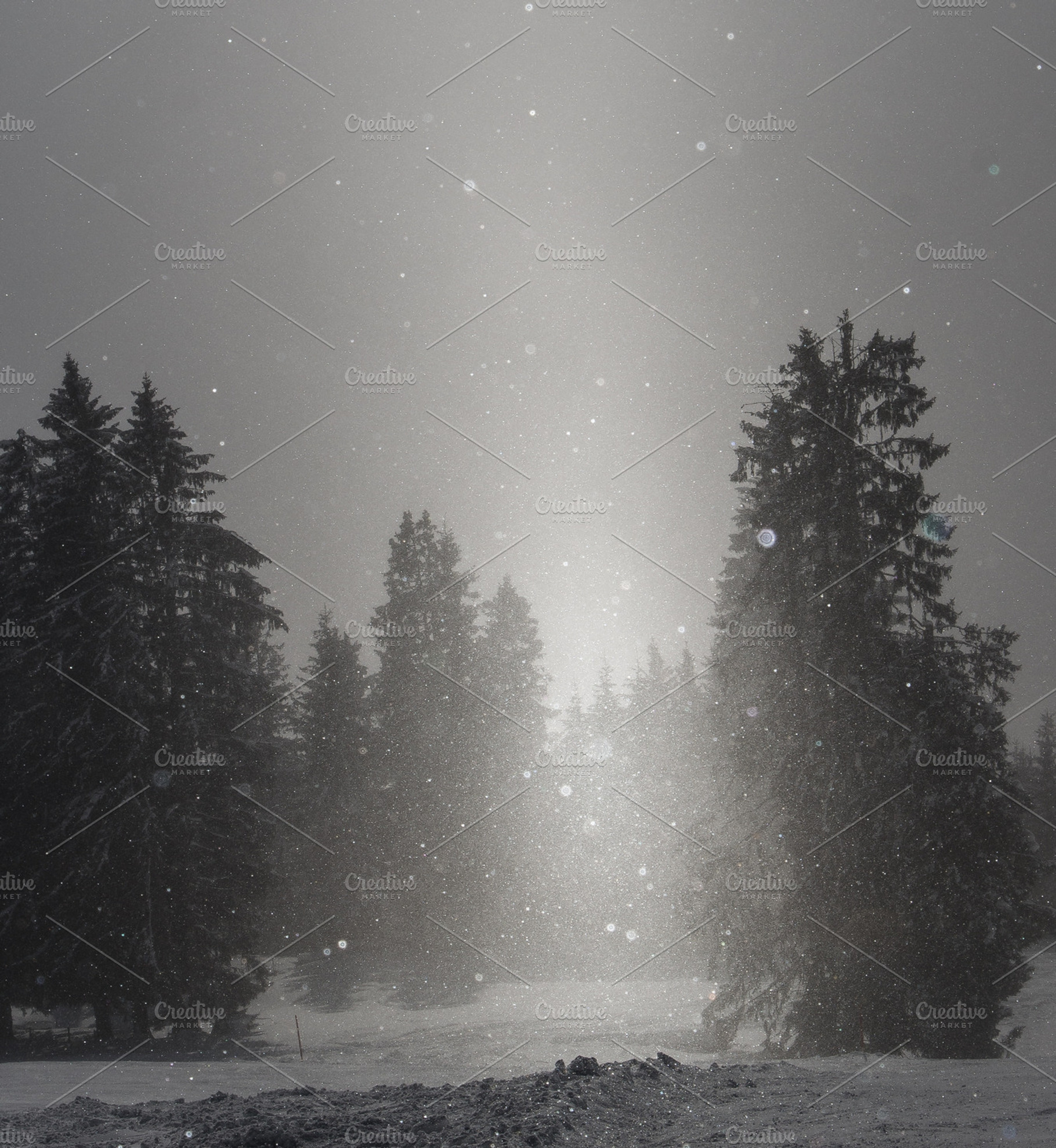 Black&white winter containing unusual, outdoor, and hiking, a Nature Photo by Travel_photos