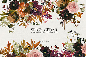 Spicy Cedar Watercolor Fall Clipart