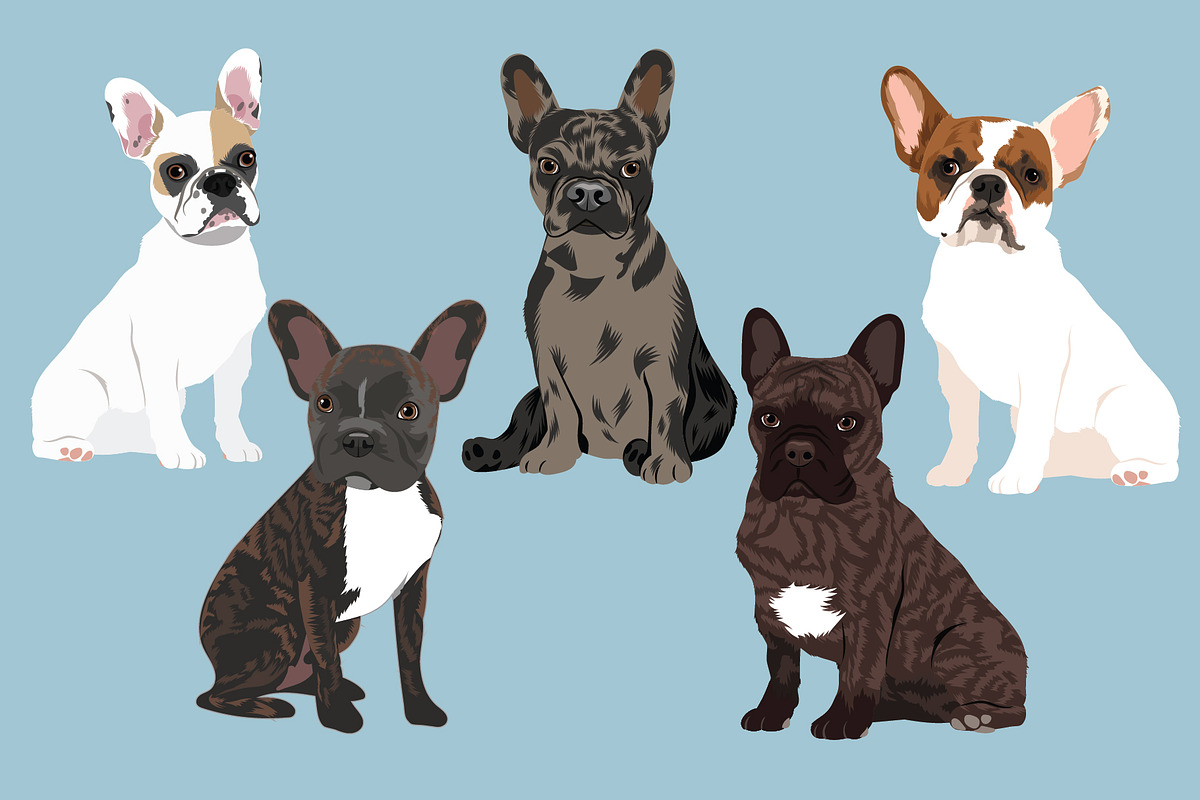 French Bulldog Clipart Illustrations, an Illustration by Putnam Road Art (Photo 2 of 3)