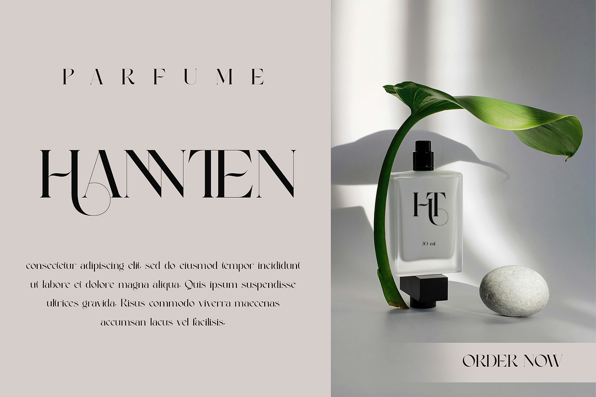 Gabule Modern Elegant Serif, a Serif Font by Alfinart (Photo 6 of 10)