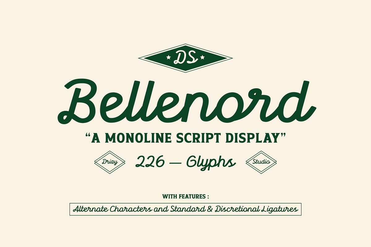 Bellenord – Monoline Script Display, a Script Font by Drizy (Photo 1 of 10)
