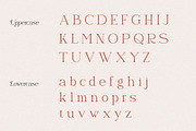 Naervik | Modern Serif, a Serif Font by Denustudios (Thumbnail 10 of 13)