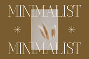 Seraphine Modern Font Serif, a Serif Font by Letterena Studios (Thumbnail 7 of 15)