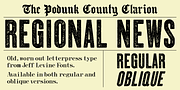 Regional News JNL, a Sans Serif Font by Jeff Levine Fonts (Thumbnail 1 of 5)