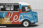 Leo - Vector Background Textures, a Texture Graphic by One Pixel (Thumbnail 8 of 10)