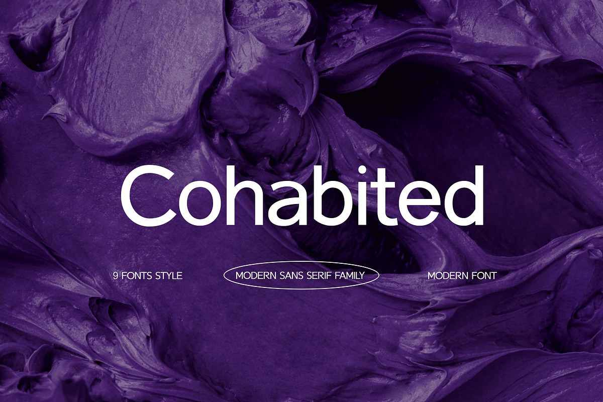 Cohabited Sans Serif Family Font, a Sans Serif Font by UICreative (Photo 1 of 13)