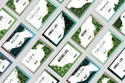 Nature leaves background design, a Decorative Illustration by foxndeer (Thumbnail 2 of 4)