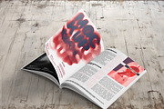 Magazine Mockup Template Set, a Books & Magazine Mockup by ArtDom (Thumbnail 8 of 10)