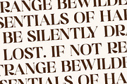 Golfah Marika A New Modern Serif, a Serif Font by Storytype Studio (Thumbnail 8 of 15)