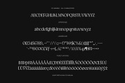 CS Armida – Elegant Serif Font, a Serif Font by Craft Supply Co. (Thumbnail 8 of 8)