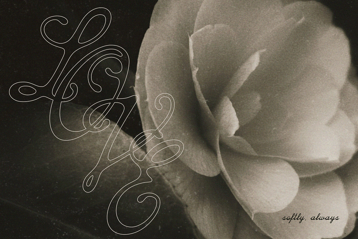 The Old Habit Vintage Script Font, a Script Font by AnMark (Photo 9 of 13)