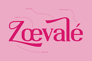Arezandra, a Serif Font by Rishsketch (Thumbnail 6 of 15)