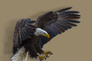 Pixelator Photoshop Action preview 3