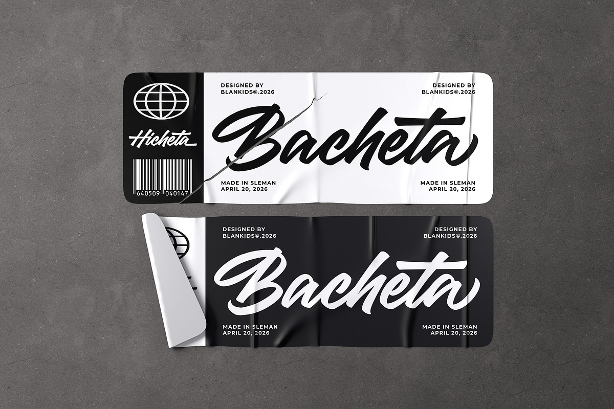 Hicheta a Modern Stylish Script Font, a Script Font by Blankids Studio (Photo 10 of 12)