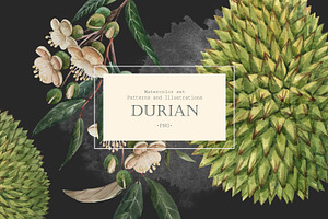 Watercolor Durian Set PNG