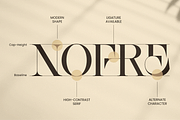 Erazer – Luxury High Contrast Serif, a Serif Font by Sensatype (Thumbnail 10 of 12)