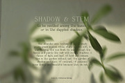 Imperfect Organic Serif Font, a Serif Font by whiteheartdesign (Thumbnail 9 of 12)