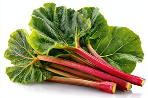 Fresh Rhubarb Stalks with Green Leav, a Photo by Pixeness Studio