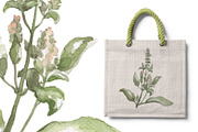 Green Basil Botanical Illustration, a Food Illustration by RabbitAndPencil (Thumbnail 3 of 3)