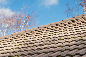 Old Roof Tiles, an Architecture Photo by THP Creative
