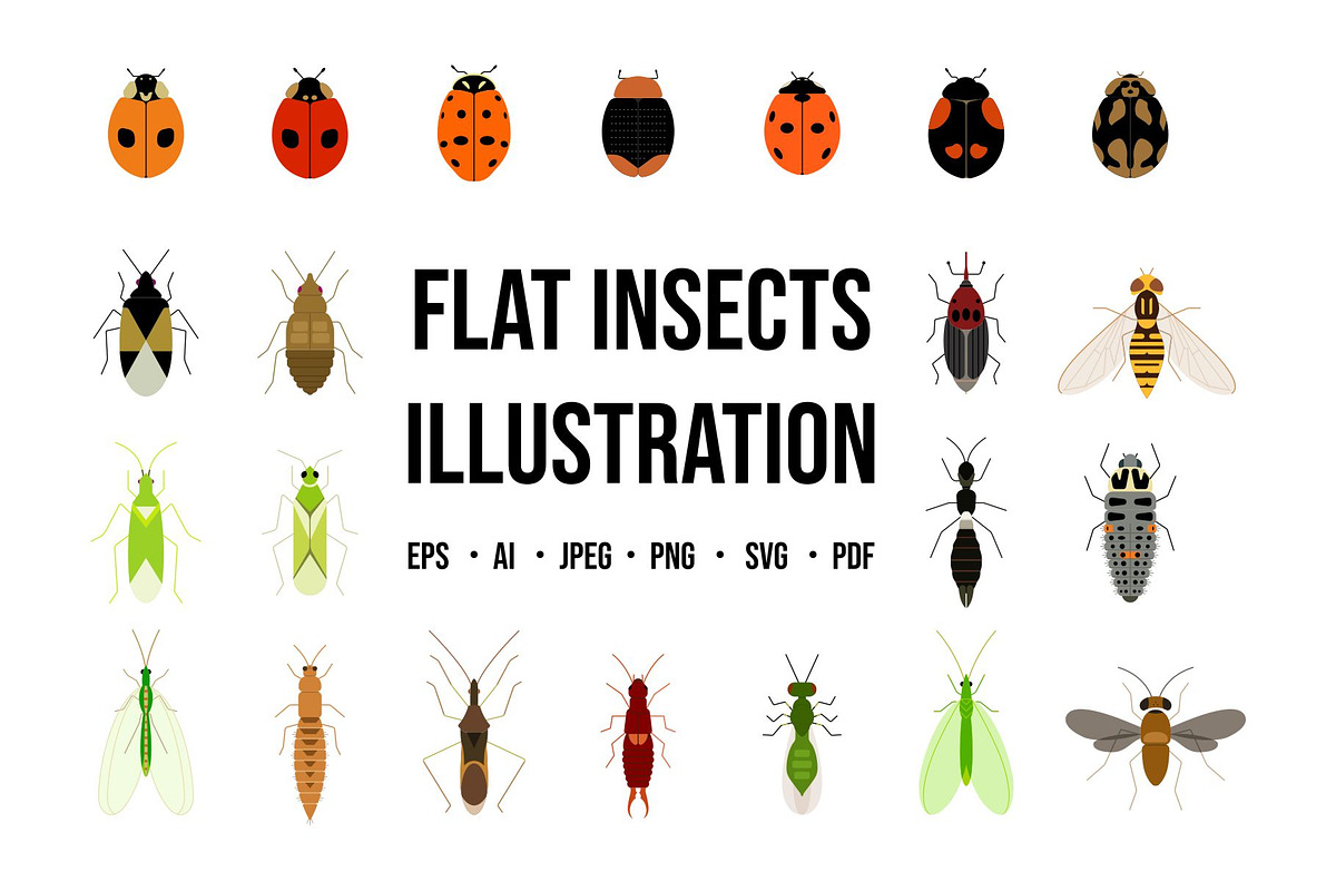 Flat Insects Illustration, an Animal Illustration by Buqancreative (Photo 1 of 6)