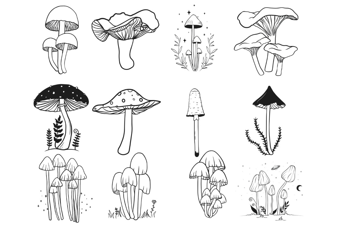 Mushrooms Set 3 Procreate Brush, a Brush Add-On by Disasterology Ink (Photo 7 of 10)